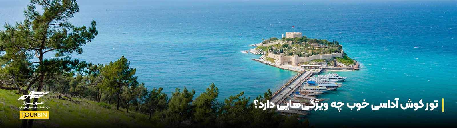 تور کوش آداسی خوب چه ویژگی&zwnj;هایی دارد؟